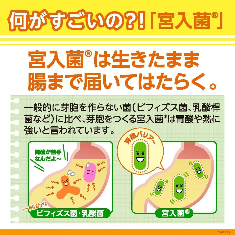 宮崎製藥 乳酸菌整腸藥 330 錠-長期團-1.png